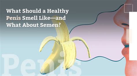 what does semen smell like|Semen Smell: Why It’s Fishy, Like Chlorine or Rotten Eggs, and Mo.